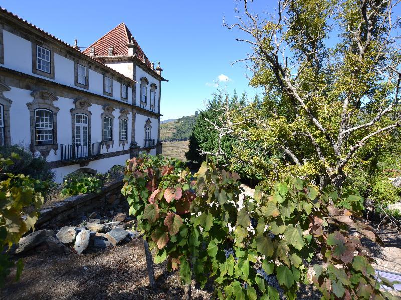 Casa Das Torres De Oliveira Mesao Frio Ngoại thất bức ảnh