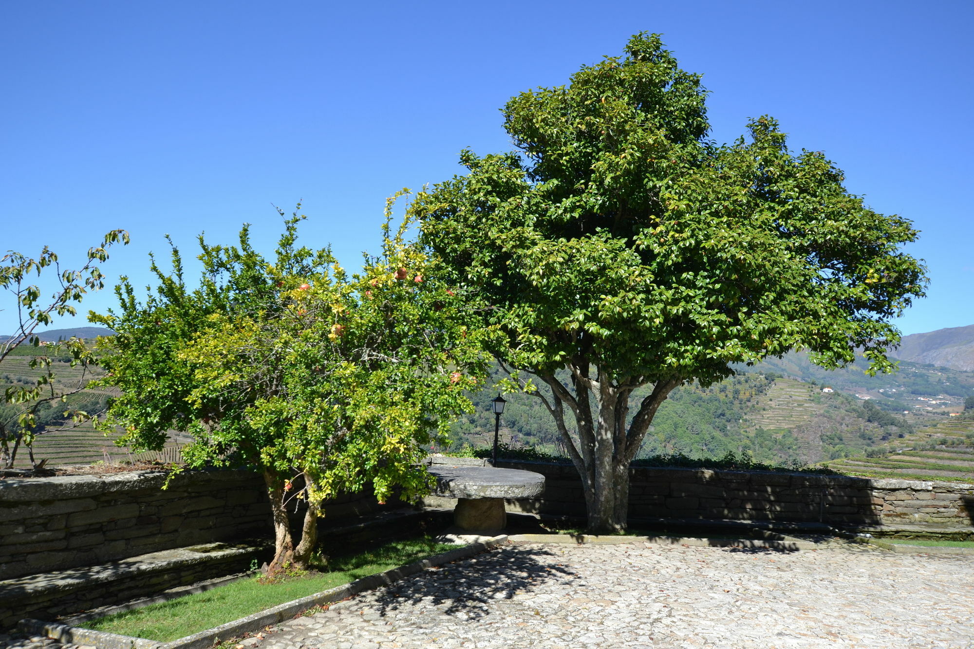 Casa Das Torres De Oliveira Mesao Frio Ngoại thất bức ảnh